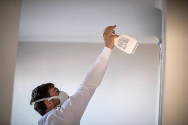 Best Water Damage Restoration  in Morrisville, PA
